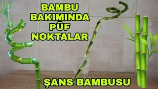 A101 den bambu aldım 🎋🎋🎋