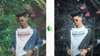 New Snapseed Dark Blue Effect Photo Editing Trick 🔥 | Snapseed Background Colour Change Trick