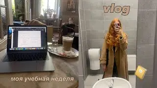 vlog🐣 будни студента по обмену + распaковка с SHEIN