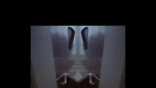 Daily Noonerino - Let's get into it.
