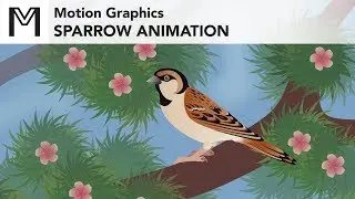 Motion Graphics - Sparrow Animation