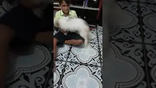 Brincando com cachorro da minha tia