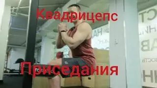 Сисси приседания / Квадрицепс 