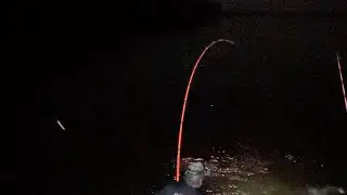 Midnight wing dam fishing for jumbo blue cats 