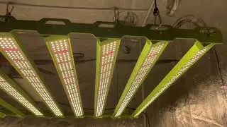 KingBrite P55, 1000w, LM301H EVO, 2.98Umol/j, PPFD-2930при 30см! 196423 Люмен!