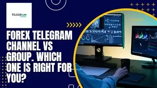 Forex Telegram Channel VS Group: Which One Is Right For You?