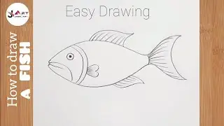 How to Draw Fish (Easy Fish Drawing Tutorial)