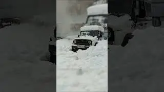 Снежный барс покоряет снег #Shorts