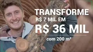 🍄 Cultive Cogumelos e fature R$ 36 MIL com 200 m²