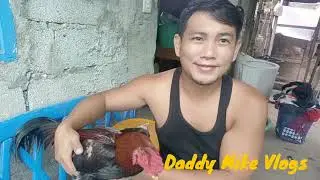 PAANO GAMITIN ANG BELAMYL