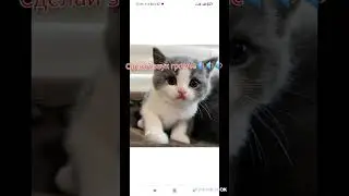 погромчееее