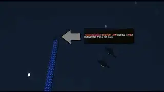 When Phantoms Join the Server