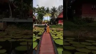 Одна из самых оригинальных фотолокций😍 Сохраняй!
