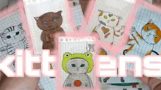 сюрпризы • новая коллекция • котики🐱 •