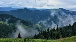 The beauty of the Carpathian Mountains | Air video in 4K. Карпаты с высоты птичьего полета.