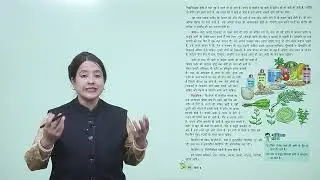 Think Tank Books Hindi Class 6 Chapter 16