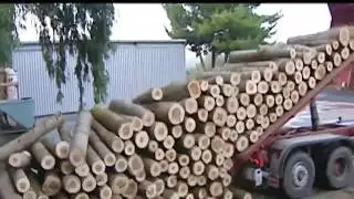 Fábrica de cerillas y fosforos (Así se fabrican)