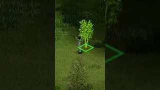 The BEST Tree Cutting Tip In Project Zomboid!
