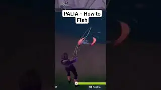 How to Catch Fish 