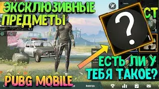 ТОЛЬКО 1% ИГРОКОВ ИМЕЕТ ЭТИ ЭКСКЛЮЗИВНЫЕ ПРЕДМЕТЫ В PUBG MOBILE | БЕСПЛАТНЫЕ ПРЕДМЕТЫ В PUBG MOBILE