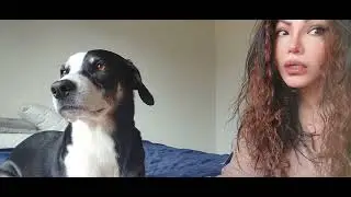 MI DOSIS PERSONAL DE PATICAS..🤗🤗🤣