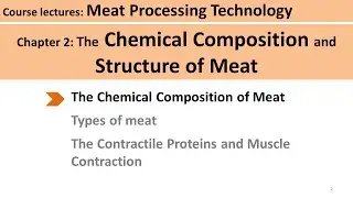 C2-03 fats/lipids of meat| Meat Technology