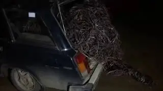 250 КГ МЕДИ