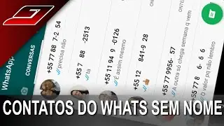 Whatsapp não aparece nome  dos contatos, somente os números_veja como resolver!