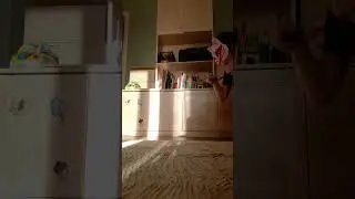 #квадробика