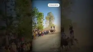 Horse race in mastuana bahadarpur /Technical 2