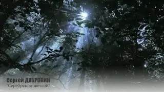 Сергей ДУБРОВИН - " Серебряной звездой"   NEW 2016!