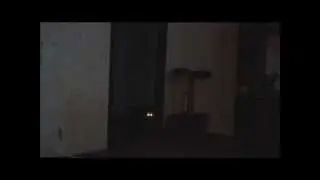 КОШКА ТЕРМИНАТОР ПРИКОЛЫ С ЖИВОТНЫМИ