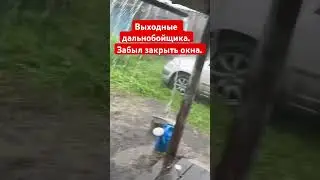 Деревенский житель. Забыл закрыть окна в авто. # #automobile #дальнобойщик #россия #дождь #shorts