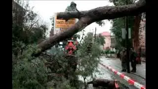 Экономия топлива с EnviroTabs на Shkoda Fabia дизель!