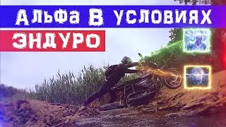 Альфа в условиях ЭНДУРО😳