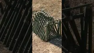 make cage trap for the eagle