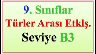 9. SINIFLAR TÜRLER ARASI ETK. SEVİYE B3