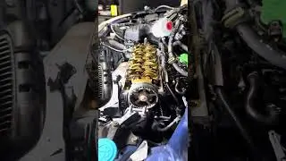 Civic Timing Belt