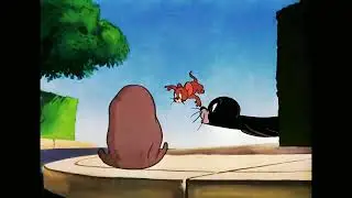 Tom and jerry animation cuts Home 🧚‍♀️👼👶