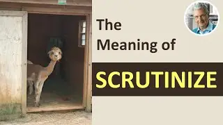 What is the Meaning and Definition of SCRUTINIZE? (5 Examples)