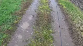 Perché non uso più la gommina