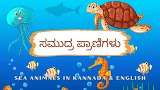 ಸಮುದ್ರ ಪ್ರಾಣಿಗಳು (Samudra Pranigalu) - Sea Animals in Kannada & English