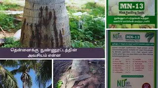 ஒருமுறை தென்னைக்கு வேர் நுண்ணூட்டம் கொடுத்துப் பாருங்க  96778 90004