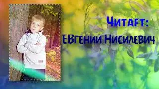 Детские стихи 2  читает Евгений Нисилевич