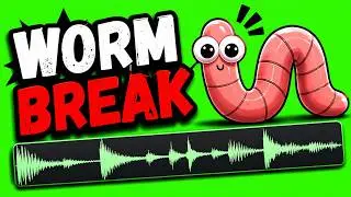 The Worm Break Drum Loop || Requested Download || WORM BREAK