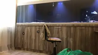 Болталка 08.04.2022