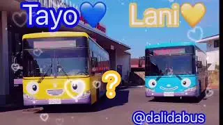 #Lani #Tayo Gani Rogi #해치버스  World Clip Korea 24Minutes  #타요버스 IPTV