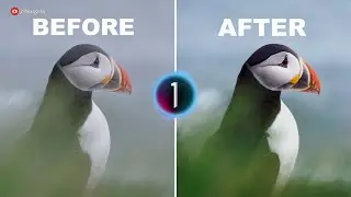 FREE Capture One Style | Icelandic