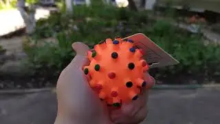 Зооопокупки
