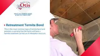 What Is a Termite Bond & Why Do I Need One?